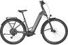 BULLS ICONIC EVO 2 quantum silver matte 29 Zoll M