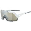 ALPINA Sports ROCKET smoke-grey matt Q-LITE silver
